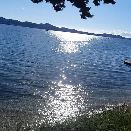 Jazine1 Ζαντάρ