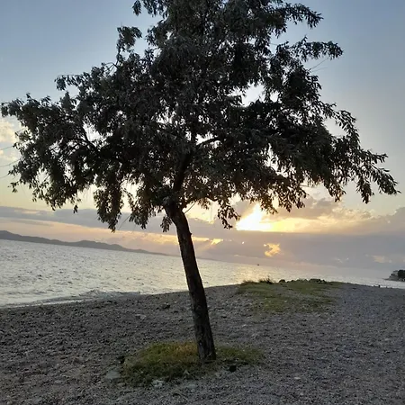 Διαμέρισμα Jazine1 *