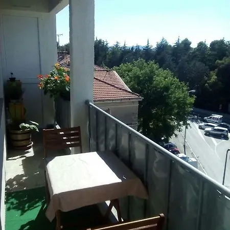 Jazine1 * Zára