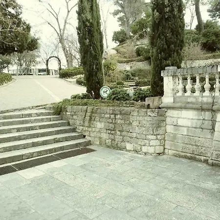 Jazine1 * Ζαντάρ