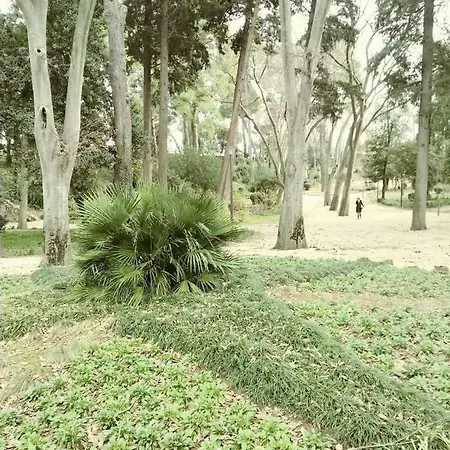 Jazine1 * Ζαντάρ